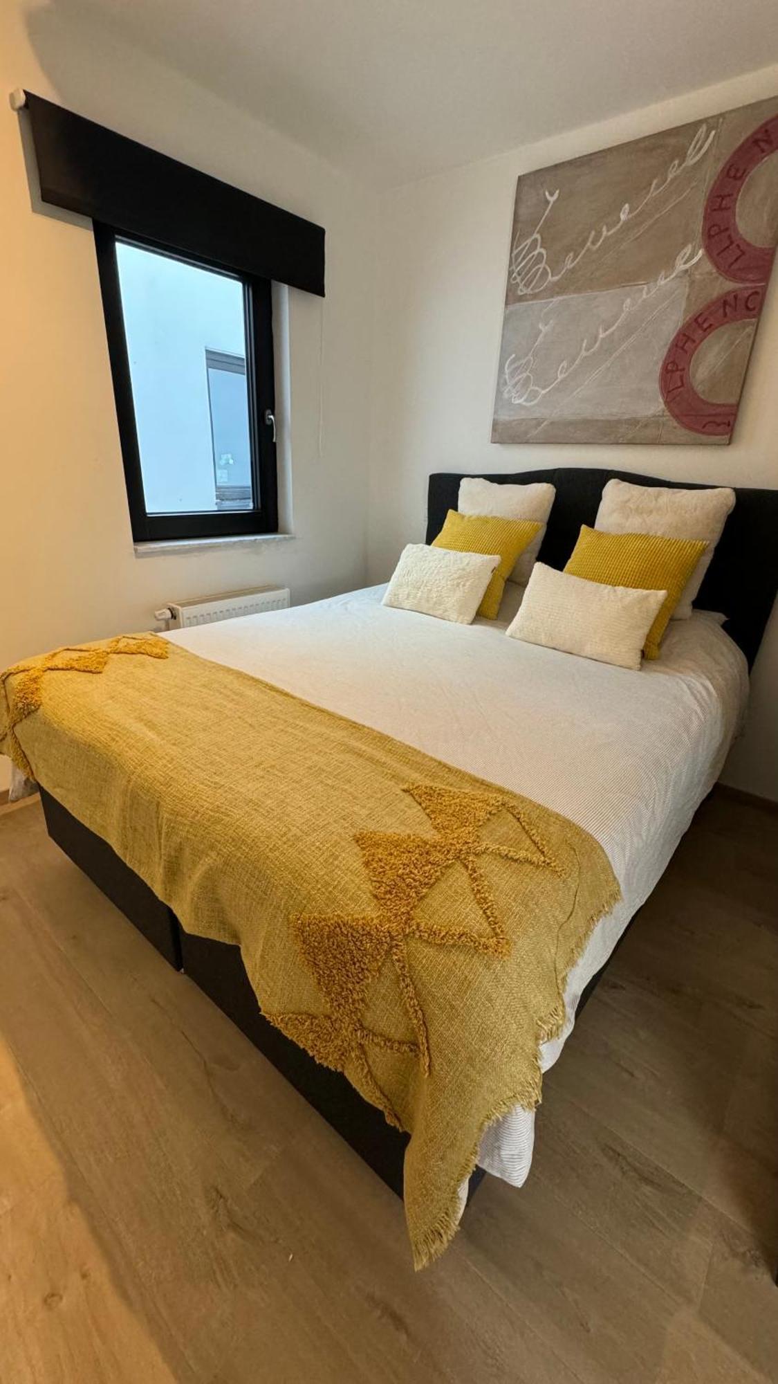 Апартаменты Viki'S Penthousje Бланкенберге Экстерьер фото